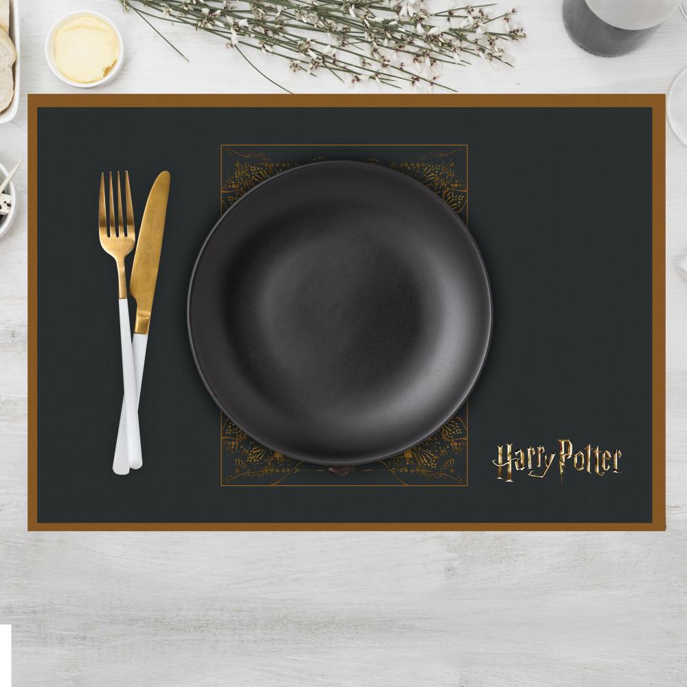 Harry Potter Hedwig ve Phoenix İllüstrasyonlu 4 lü Set (30x50)