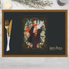 Harry Potter Hedwig ve Phoenix İllüstrasyonlu 4 lü Set (30x50)