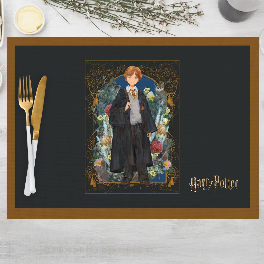 Harry Potter Hedwig ve Phoenix İllüstrasyonlu 4 lü Set (30x50)