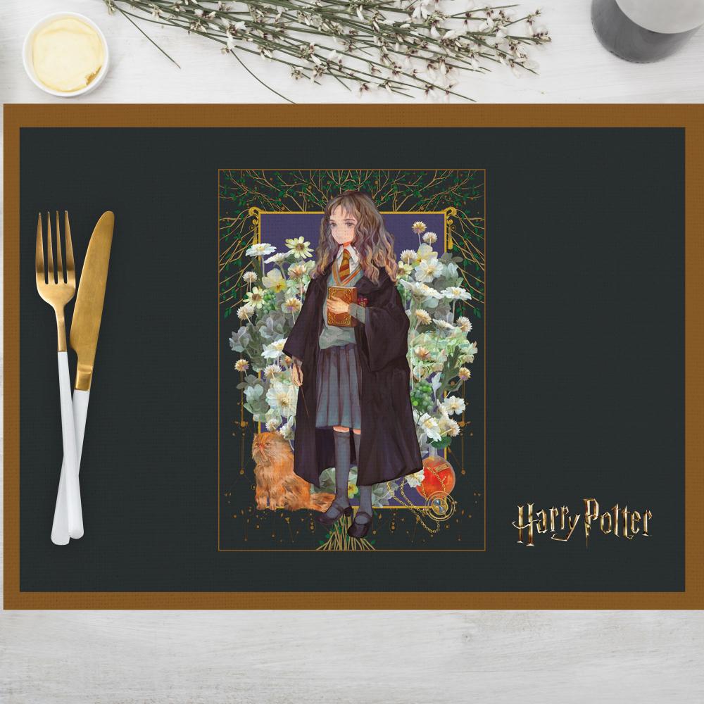 Harry Potter Hedwig ve Phoenix İllüstrasyonlu 4 lü Set (30x50)