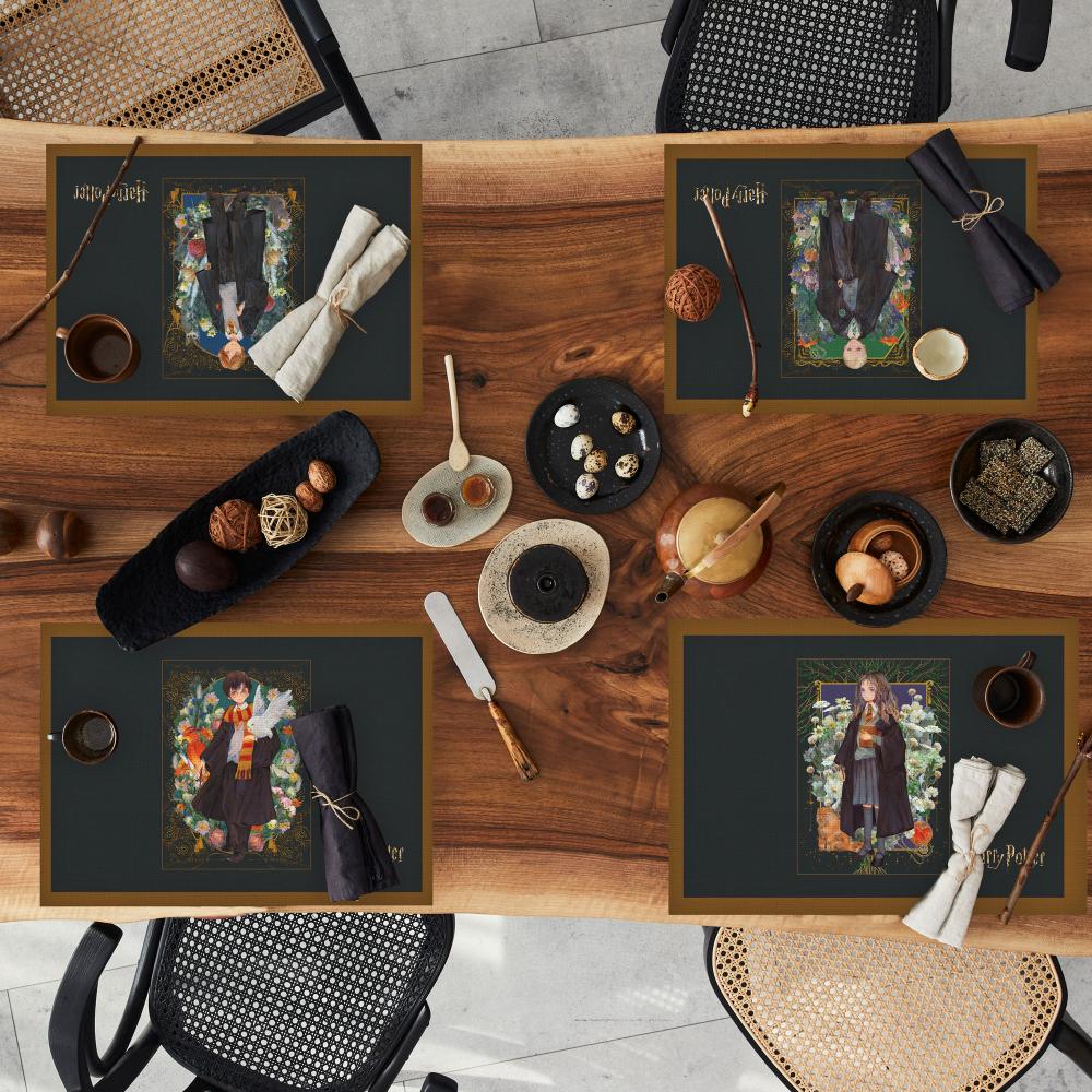 Harry Potter Hedwig ve Phoenix İllüstrasyonlu 4 lü Set (30x50)