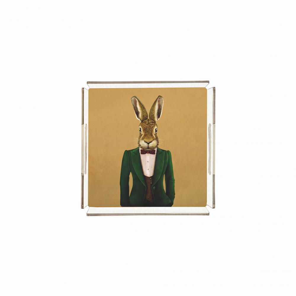 Mr. Rabbit Pleksi Tepsi - PT2103 - 25x25cm