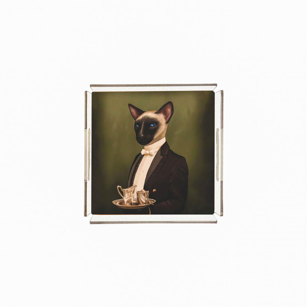 Mr. Cat Pleksi Tepsi - PT2104 - 25x25cm